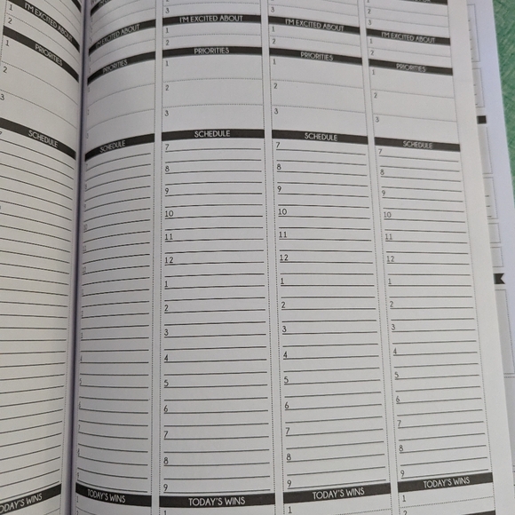 Brand New Panda Planner Color - Picture 2 of 2